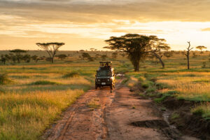 best time for safari in Tanzania