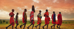 How to Plan a Perfect Safari
